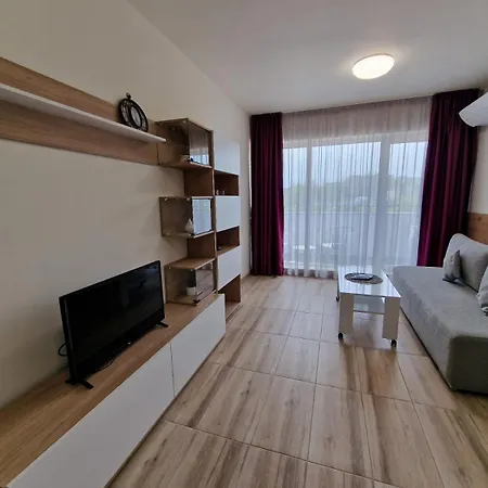 Rent 30 דירה וארנה